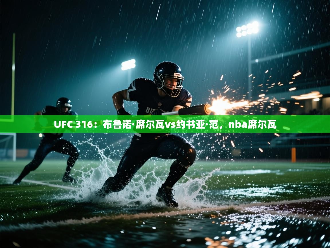 UFC 316:布鲁诺·席尔瓦vs约书亚·范,nba席尔瓦 第2张