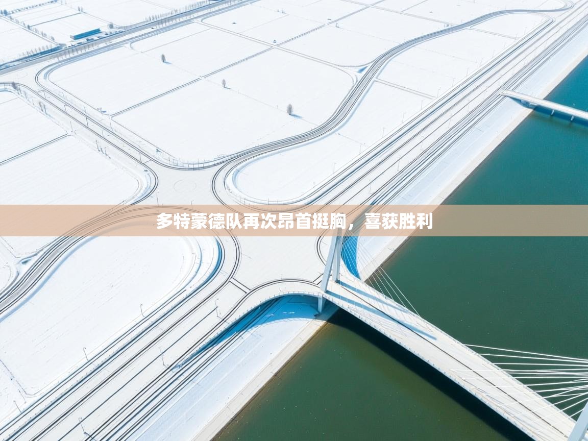 多特蒙德队再次昂首挺胸，喜获胜利  第1张