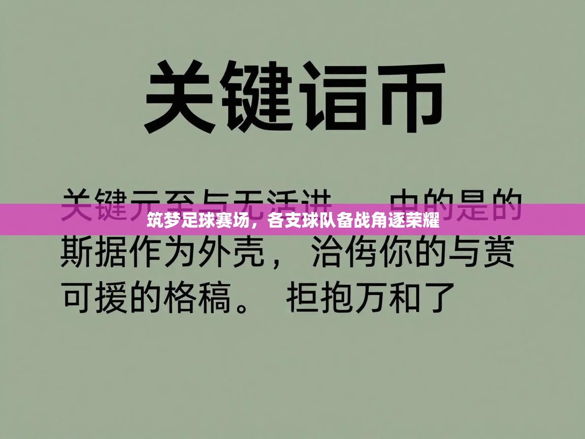 筑梦足球赛场，各支球队备战角逐荣耀  第2张